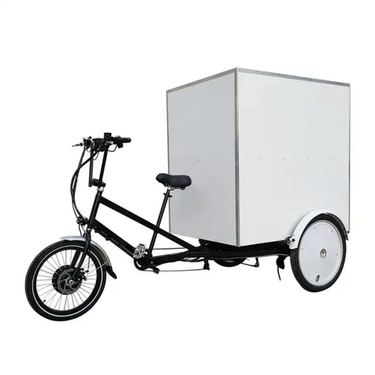 Motrike M-CT101 3 Wheel Big Box Cargo Ebike (Truck Trike)