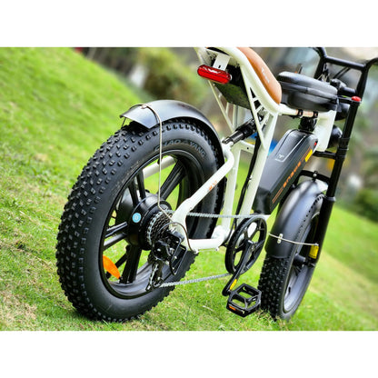 ENGWE M20 750W Off Road eBike