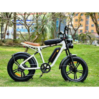 ENGWE M20 750W Off Road eBike