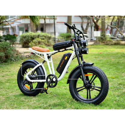 ENGWE M20 750W Off Road eBike