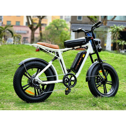 ENGWE M20 750W Off Road eBike