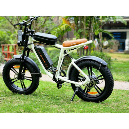 ENGWE M20 750W Off Road eBike